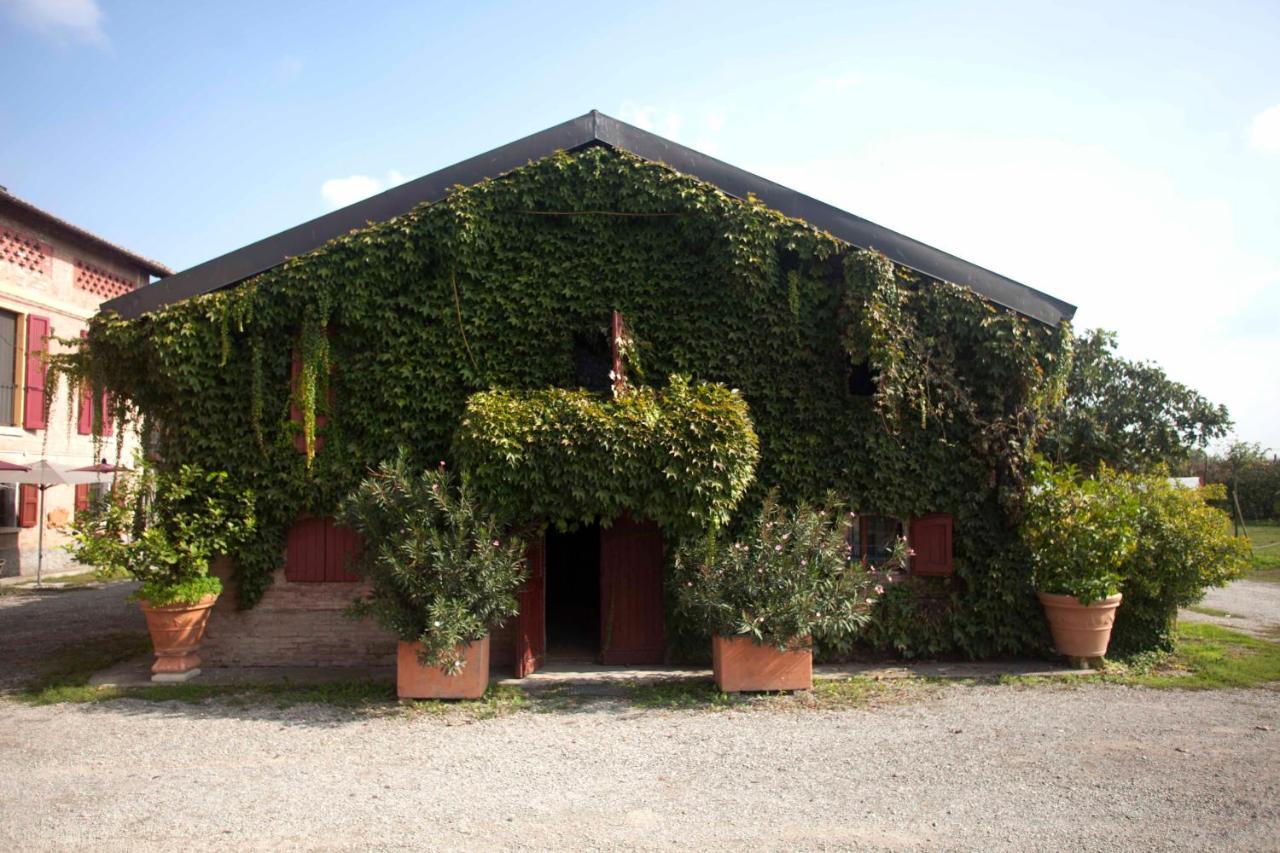 Agriturismo Il Bove Реджо Емилия Екстериор снимка